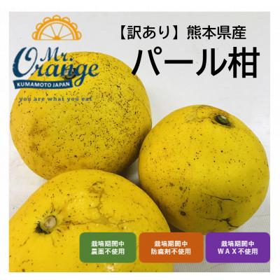 ふるさと納税 水俣市 [訳あり]パール柑 4kg(栽培期間中農薬・化学肥料不使用)
