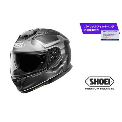 ふるさと納税 一関市 GT-Air3 MIKE TC-10(GREY/SILVER) Mパーソナルフィッティングご利用券付