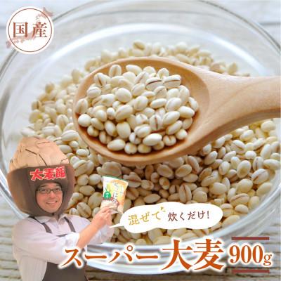 ふるさと納税 豊橋市 国産スーパー大麦 ビューファイバー 900g