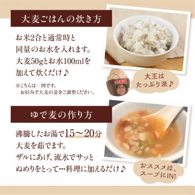ふるさと納税 豊橋市 国産スーパー大麦 ビューファイバー 900g |  | 02