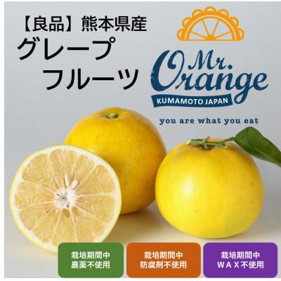 ふるさと納税 水俣市 [良品]国産グレープフルーツ 2.5kg (栽培期間中農薬・化学肥料不使用)
