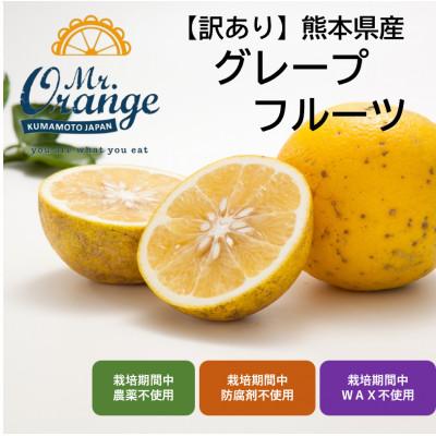 ふるさと納税 水俣市 [訳あり]国産グレープフルーツ 3kg (栽培期間中農薬・化学肥料不使用)