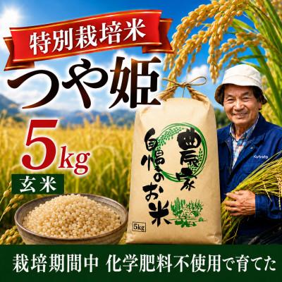 ふるさと納税 酒田市 ◆新米予約◆[特別栽培米]つや姫 玄米5kg|栽培期間中 化学肥料不使用 発送日に袋詰め 令和8年産