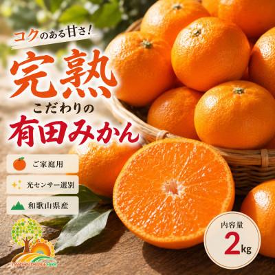 ふるさと納税 那智勝浦町 こだわりの完熟有田みかん 約2kg ご家庭用 (nuk004-c-2)