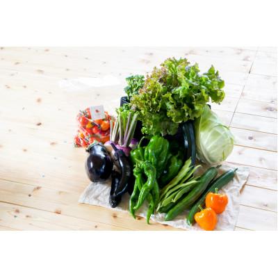 ふるさと納税 北広島市 [有機JAS認定]有機野菜セットA 季節の野菜 詰め合わせ(10〜12種類)