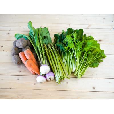ふるさと納税 北広島市 おまかせ旬野菜セット 10〜12種類