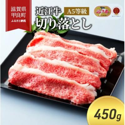 ふるさと納税 甲良町 [近江牛]切り落とし 450g (エコ包装)