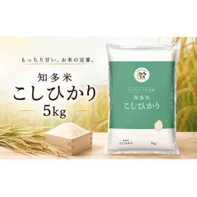 ふるさと納税 美浜町 知多米こしひかり(精米)5kg