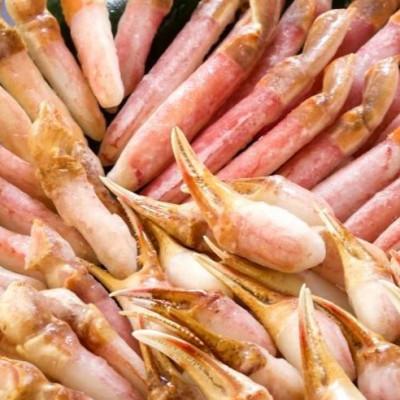 ふるさと納税 網走市 [数量限定]手軽に調理 カット済 生冷ずわい蟹しゃぶセット 総量 1kg 下処理不要ですぐお鍋に!