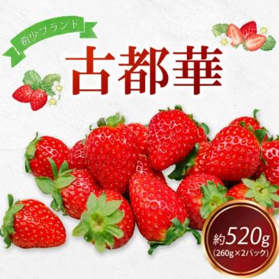 ふるさと納税 奈良市 [先行受付]奈良のブランドいちご 古都華 約520g(260g×2) fwd004_R9