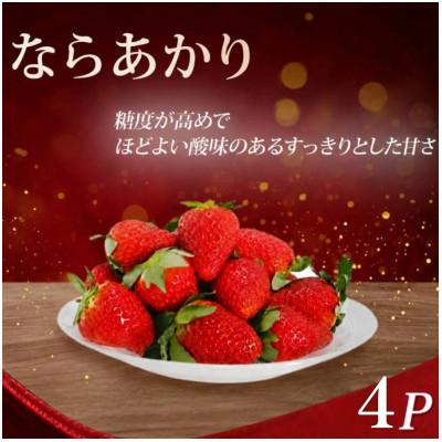 ふるさと納税 奈良市 [先行受付]いちご ならあかり 約1040g(260g×4) fwd007_R9