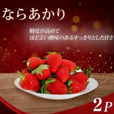 ふるさと納税 奈良市 [先行受付]いちご ならあかり 約520g(260g×2)fwd006_R9