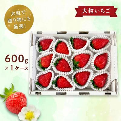 ふるさと納税 奈良市 [2027年順次発送]奈良のブランドいちご 古都華 約600g×1 大粒サイズ fwd008_R9