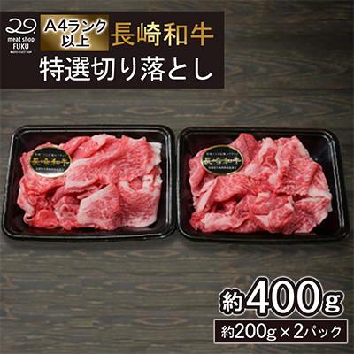 ふるさと納税 諫早市 [A4〜A5ランク]長崎和牛 特選切り落とし 約400g(約200g×2パック)(諫早市)