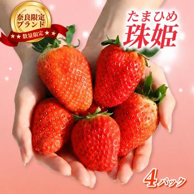ふるさと納税 奈良市 [2027年1月より順次発送]いちご 珠姫(たまひめ)4パック mtn005_R9