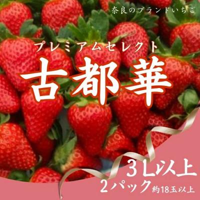 ふるさと納税 奈良市 [2027年1月より順次発送]プレミアムセレクト古都華 いちご 2パック mtn003_R9