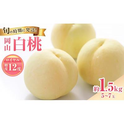 ふるさと納税 高梁市 [2027年発送分 先行受付]岡山県産 白桃 最高ランク!ロイヤル 約1.5kg 5〜7玉