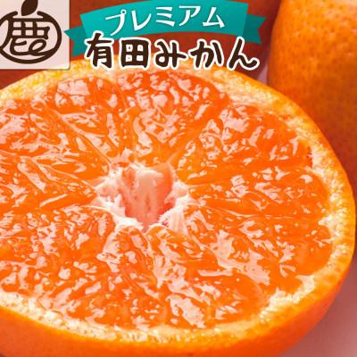 ふるさと納税 紀美野町 プレミアム 有田みかん2.5kg+250g(傷み補償分)[光センサー選果]