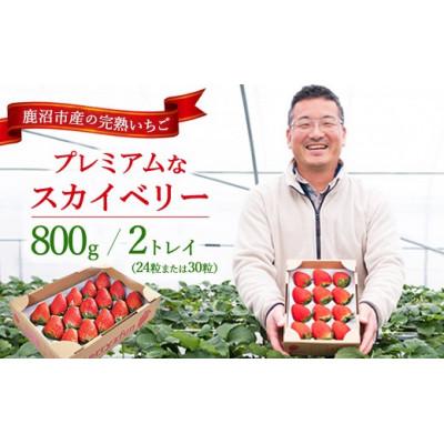 ふるさと納税 鹿沼市 [12月下旬より順次発送]プレミアムな完熟スカイベリー800g 栃木県鹿沼市 いちご 高級品 贈答用
