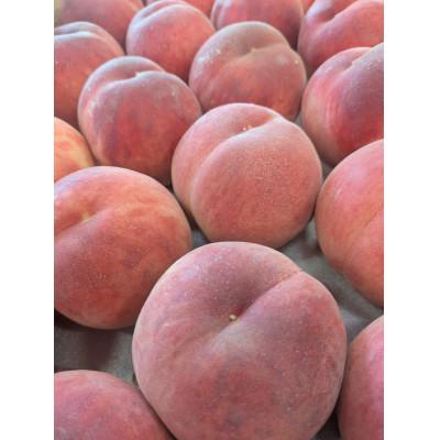 ふるさと納税 南部町 青森県南部の旬の完熟桃 おすすめ品種 計2kg(約5玉から8玉)