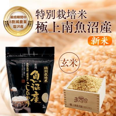 ふるさと納税 南魚沼市 [8年産新米予約]特別栽培米「南魚沼産コシヒカリ」(栽培期間中農薬節減・化学肥料不使用)玄米4kg