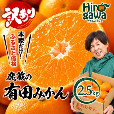 ふるさと納税 紀美野町 家庭用 有田みかん2.5kg+250g(傷み補償分)[光センサー選果][訳あり]