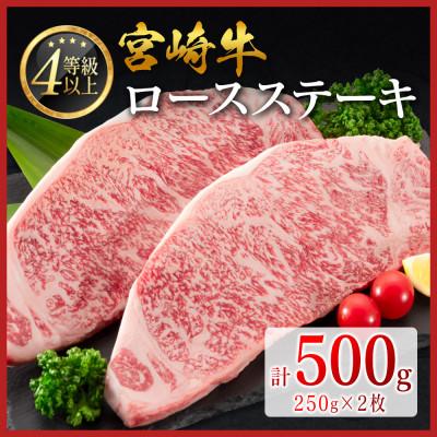ふるさと納税 新富町 宮崎牛ロースステーキ 計500g(新富町)