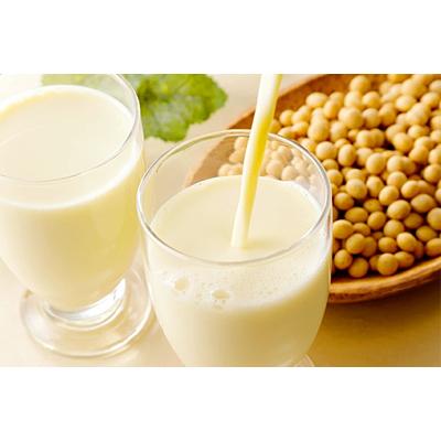 ふるさと納税 岡崎市 ひとつ上の豆乳　成分無調整　200ml×24本×2ケース　計48本 |  | 03