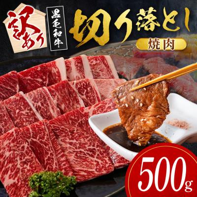 ふるさと納税 新富町 [数量限定・訳あり]宮崎県産黒毛和牛切り落とし焼肉 計500g(新富町)