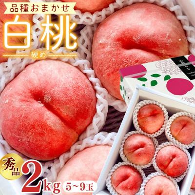 ふるさと納税 寒河江市 [先行予約]令和8年産 白桃 硬めの桃 秀品 2kg (5玉-9玉) 品種おまかせ 山形県産