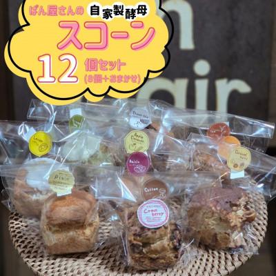 ふるさと納税 光市 [bon clair]自家製酵母のスコーン12個セット 基本の8種とおまかせ4種をお届け! 計12個