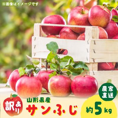 ふるさと納税 中山町 令和8年産 農家直送わけあり「サンふじりんご」自家用約5キロ