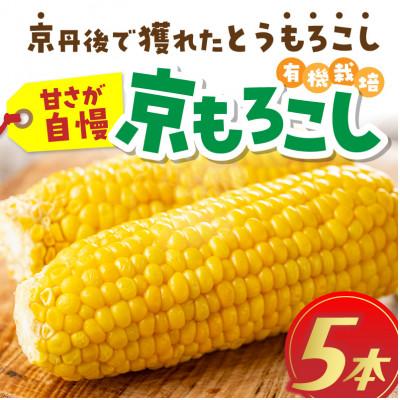 ふるさと納税 京丹後市 有機栽培の京都産とうもろこし 生食可!新鮮で甘い!てんとうむしばたけのスイートコーン