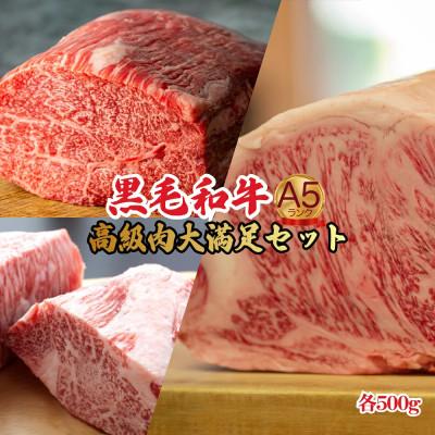 ふるさと納税 河合町 黒毛和牛 A5ランク 食べ比べセット ヒレ サーロイン モモ 1.5kg 各500g 冷蔵