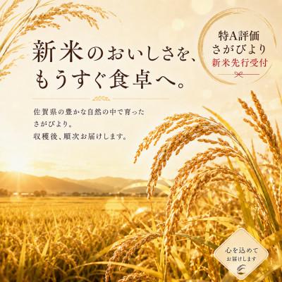 ふるさと納税 吉野ヶ里町 【新米】令和8年産【白米】さがびより 10kg(5kg×2袋)【先行受付】(吉野ヶ里町) |  | 01