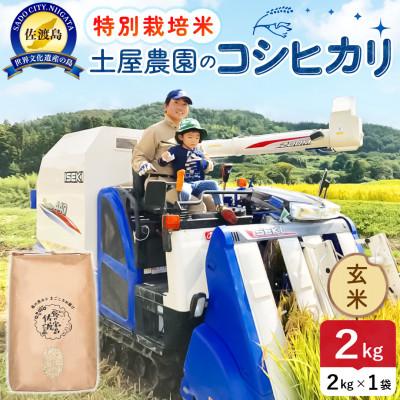 ふるさと納税 佐渡市 [新米予約]令和8年産 佐渡島産コシヒカリ 玄米2kg 土屋農園 農家直送 特別栽培米