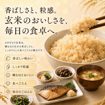 ふるさと納税 吉野ヶ里町 【新米】令和8年産【玄米】さがびより 10kg(5kg×2袋)【先行受付】(吉野ヶ里町) |  | 02
