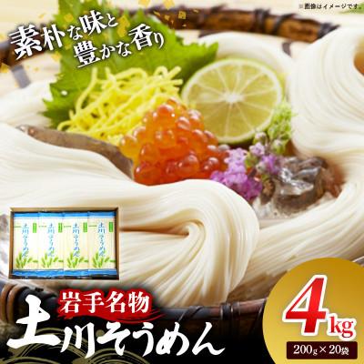 ふるさと納税 岩手町 岩手名物「土川そうめん」4kg(200g×20袋)