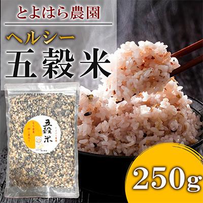 ふるさと納税 湯前町 相良村産ヘルシー五穀米 250g | 
