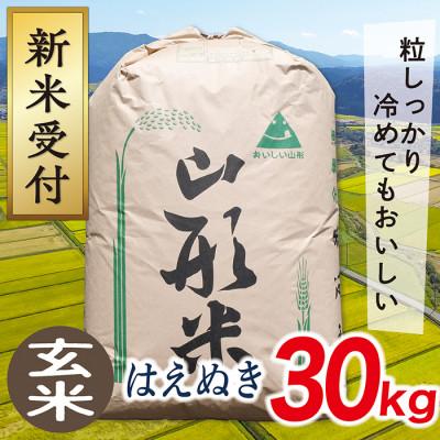 ふるさと納税 最上町 [令和8年産先行受付]山形県産はえぬき30kg(玄米)