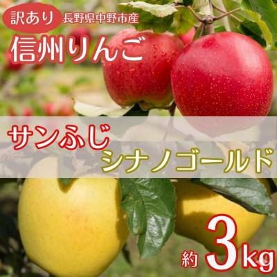 ふるさと納税 中野市 [訳あり]産地直送 信州りんご(サンふじ+シナノゴールド)3kg (ご家庭用)
