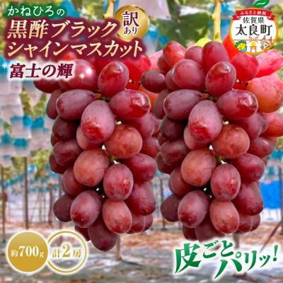 ふるさと納税 太良町 [訳あり]かねひろの黒酢ブラックシャインマスカット 富士の輝き 合計約1.4kg[003-0008]