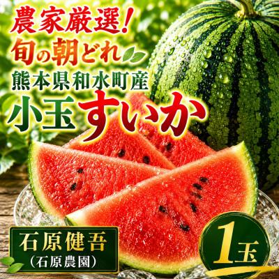 ふるさと納税 和水町 [先行予約]農家厳選!旬の朝どれ 熊本県和水町産 小玉すいか1玉(約2kg)(和水町)