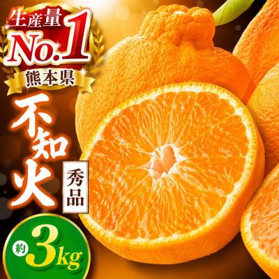 ふるさと納税 玉名市 [先行予約]熊本県産不知火 秀品約3kg(玉名市)