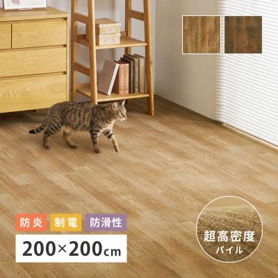 ふるさと納税 泉大津市 日本製 高密度パイル カーペット 約200X200cm ナチュラル 1枚 700044001