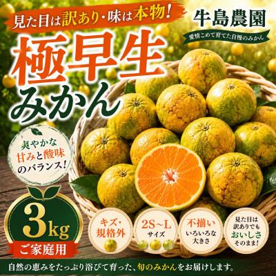 ふるさと納税 玉名市 見た目は訳あり・味は本物! 極早生みかん 約3kg 牛島農園 (玉名市)