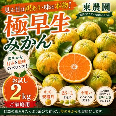 ふるさと納税 玉名市 [訳あり]玉名市産 極早生みかんお試し約2kg!キズありだけど中身は本物 東農園 (玉名市)
