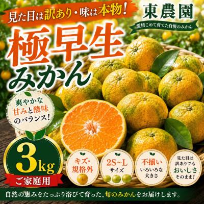 ふるさと納税 玉名市 [訳あり]玉名市産 極早生みかん約3kg!キズありだけど中身は本物 東農園 (玉名市)