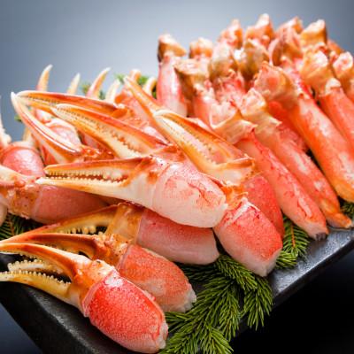 ふるさと納税 網走市 部位ごとだから食べやすい!使い分けも便利! 生冷凍ずわい蟹爪&amp;爪下 各500g 総重量1kg