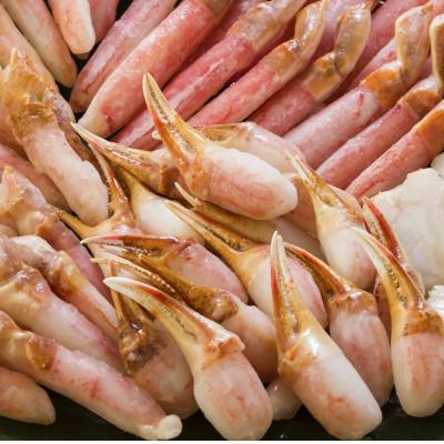 ふるさと納税 網走市 カット済だから楽ちん! 生冷凍ずわい蟹しゃぶしゃぶセット 計1kg